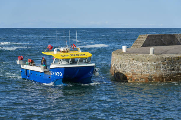 IB Boat Puffin Tour