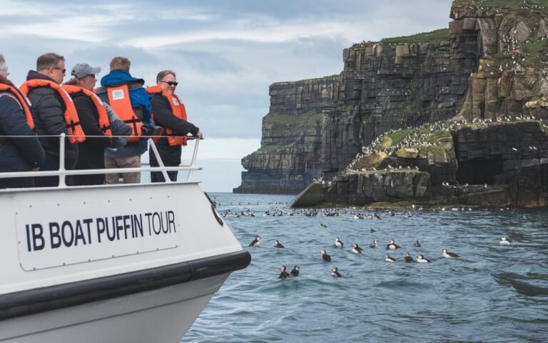 IB Boat Puffin Tour: Your Front-Row Seat to the Most Delightful Seabird Spectacle!