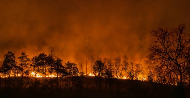 Latest Huguette Lake Forest Fire: A Stark Reminder of Nature’s Fury