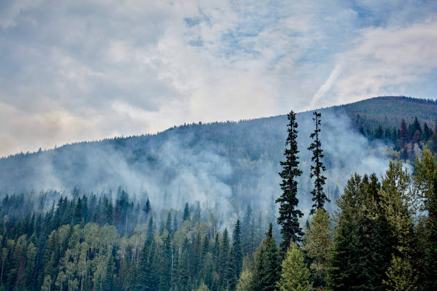  latest Huguette Lake forest fire